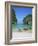 Ao Maya, Phi Phi Le, Ko Phi Phi, Krabi Province, Thailand, Southeast Asia-Bruno Morandi-Framed Photographic Print