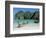 Ao Maya, Phi Phi Le, Ko Phi Phi, Krabi Province, Thailand, Southeast Asia-Bruno Morandi-Framed Photographic Print