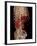 Aortic Aneurysm CT Scan-ZEPHYR-Framed Photographic Print