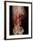 Aortic Aneurysm CT Scan-ZEPHYR-Framed Photographic Print