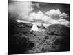 Photographic Print