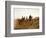 Apaches. Desert Rovers- Five Apache on Horseback in Desert, 1903-Edward S. Curtis-Framed Art Print