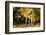 Apaloosa Horse-null-Framed Photographic Print