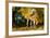 Apaloosa Horse-null-Framed Photographic Print