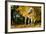 Apaloosa Horse-null-Framed Photographic Print