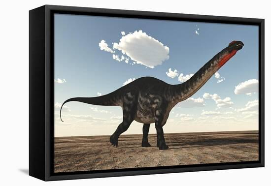 Apatosaurus Dinosaur Walking in the Desert-Stocktrek Images-Framed Stretched Canvas