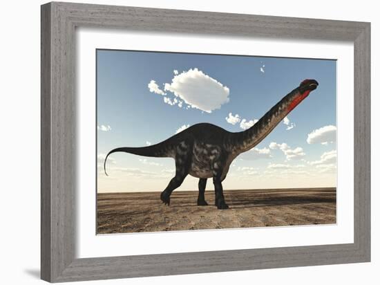 Apatosaurus Dinosaur Walking in the Desert-Stocktrek Images-Framed Art Print