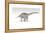 Apatosaurus Dinosaur, White Background-null-Framed Stretched Canvas