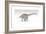 Apatosaurus Dinosaur, White Background-null-Framed Art Print