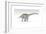 Apatosaurus Dinosaur, White Background-null-Framed Art Print