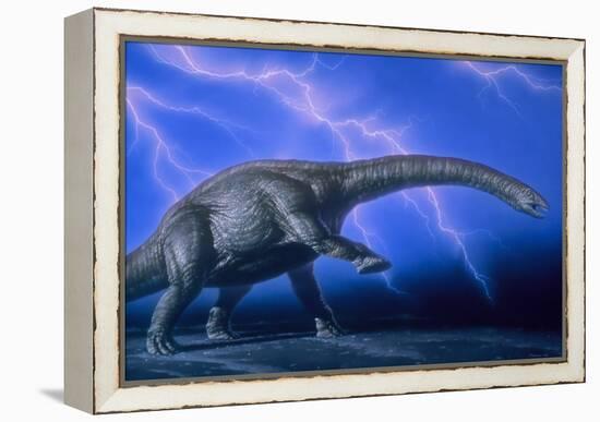 Apatosaurus Dinosaur-Joe Tucciarone-Framed Premier Image Canvas