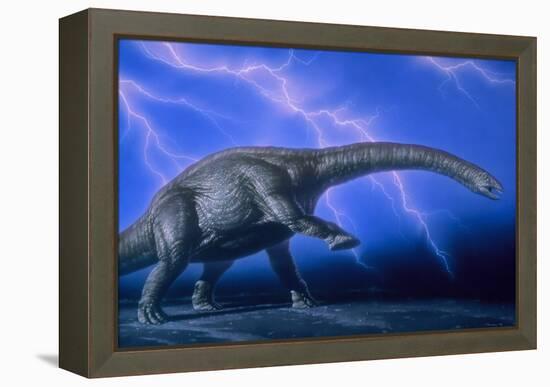 Apatosaurus Dinosaur-Joe Tucciarone-Framed Premier Image Canvas