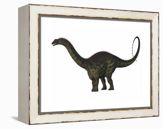 Apatosaurus Dinosaur-Stocktrek Images-Framed Stretched Canvas