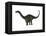 Apatosaurus Dinosaur-Stocktrek Images-Framed Stretched Canvas