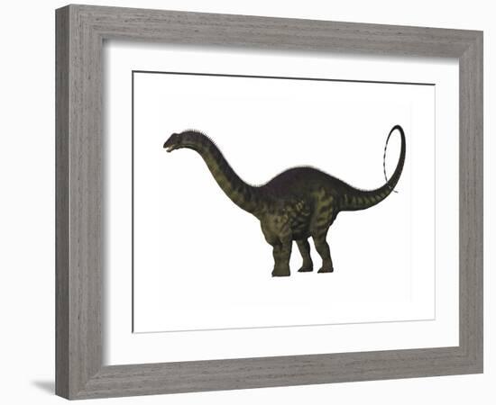 Apatosaurus Dinosaur-Stocktrek Images-Framed Art Print