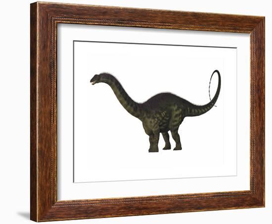 Apatosaurus Dinosaur-Stocktrek Images-Framed Art Print