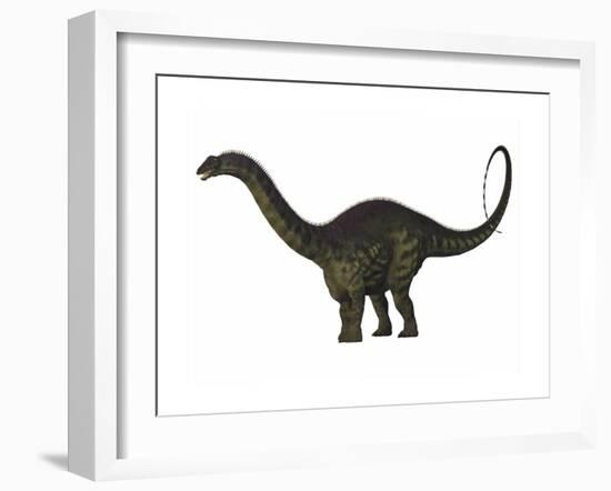 Apatosaurus Dinosaur-Stocktrek Images-Framed Art Print