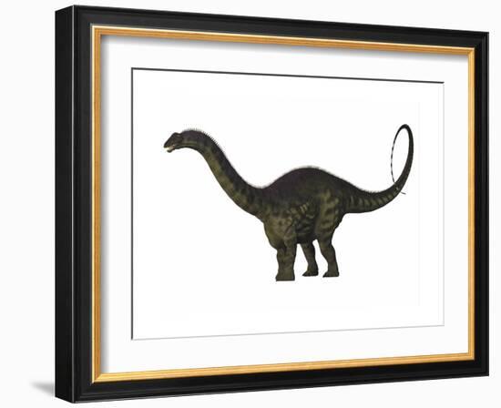 Apatosaurus Dinosaur-Stocktrek Images-Framed Art Print