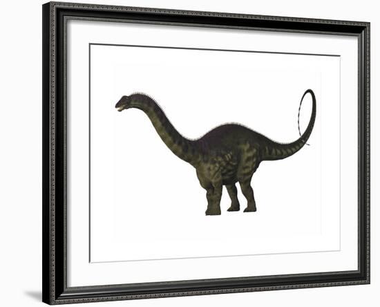 Apatosaurus Dinosaur-Stocktrek Images-Framed Art Print