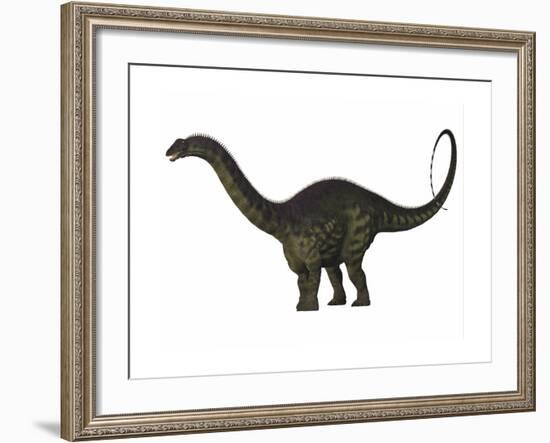 Apatosaurus Dinosaur-Stocktrek Images-Framed Art Print