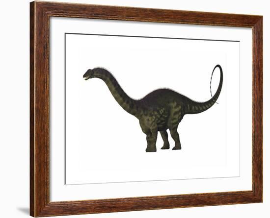 Apatosaurus Dinosaur-Stocktrek Images-Framed Art Print