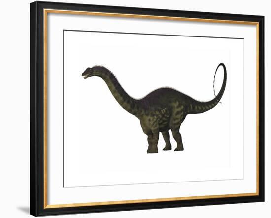 Apatosaurus Dinosaur-Stocktrek Images-Framed Art Print