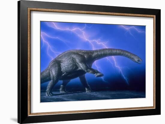 Apatosaurus Dinosaur-Joe Tucciarone-Framed Photographic Print