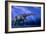 Apatosaurus Dinosaur-Joe Tucciarone-Framed Photographic Print