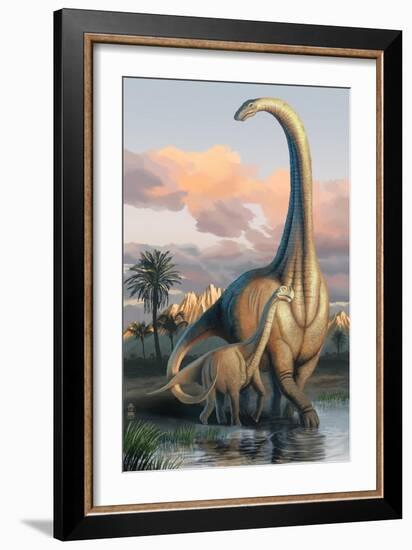 Apatosaurus Dinosaur-Lantern Press-Framed Art Print