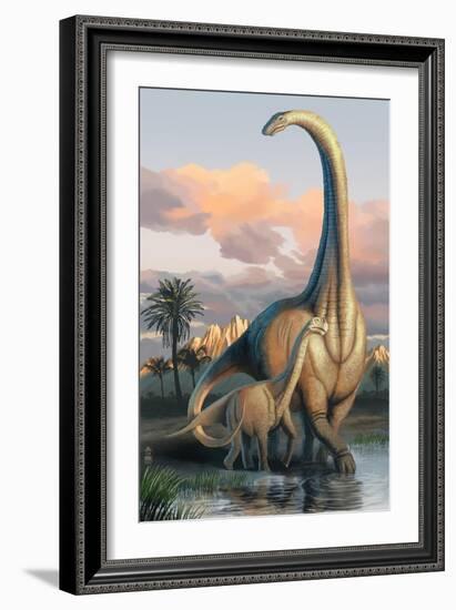 Apatosaurus Dinosaur-Lantern Press-Framed Art Print