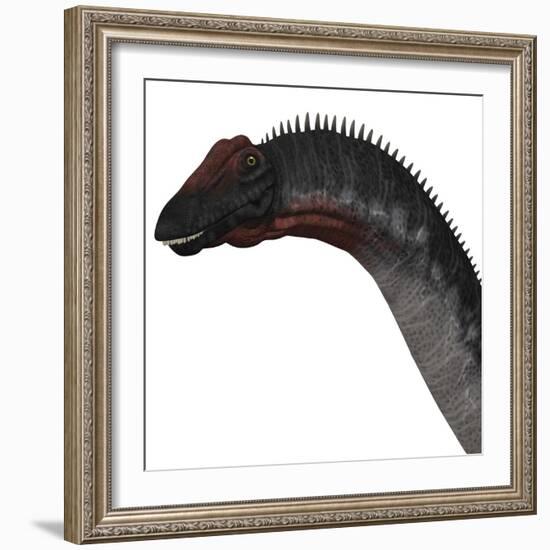 Apatosaurus Dinosaur-Stocktrek Images-Framed Art Print