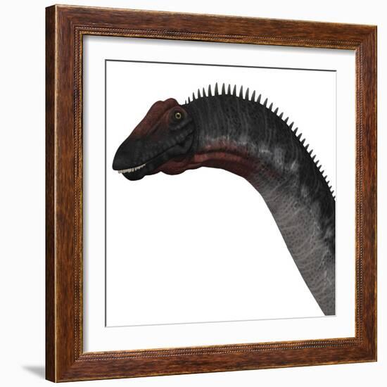 Apatosaurus Dinosaur-Stocktrek Images-Framed Art Print