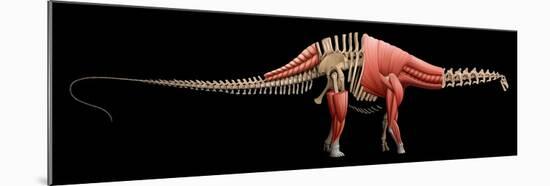 Apatosaurus Skeleton and Muscles-null-Mounted Art Print