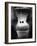 Ape Face-Henry Horenstein-Framed Photographic Print