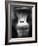 Ape Face-Henry Horenstein-Framed Photographic Print