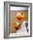 Aperol Spritz-Klaus Arras-Framed Photographic Print