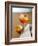 Aperol Spritz-Klaus Arras-Framed Photographic Print