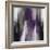 Apex Amethyst I-Carey Spencer-Framed Art Print