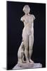 Aphrodite of Cyrene, 1St Century (Parian Marble)-Roman-Mounted Giclee Print