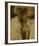 Aphrodite's Dance IV-Lorello-Framed Giclee Print