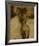 Aphrodite's Dance IV-Lorello-Framed Giclee Print