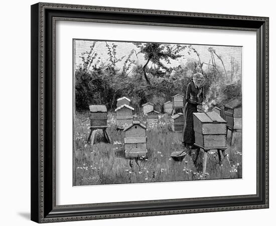 Apiary of Wooden Hives, Lismore, Ireland, 1890-null-Framed Giclee Print