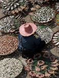 A Thai Woman Sells Dried Fish in Bangkok, Thailand, January 26, 2007-Apichart Weerawong-Framed Photographic Print