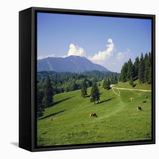 Apline Pastures on the Edge of the Bucegi Mountains, Carpathian Mountains, Transylvania, Romania-Christopher Rennie-Framed Premier Image Canvas