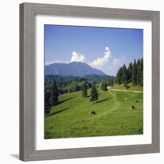 Apline Pastures on the Edge of the Bucegi Mountains, Carpathian Mountains, Transylvania, Romania-Christopher Rennie-Framed Photographic Print