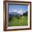 Apline Pastures on the Edge of the Bucegi Mountains, Carpathian Mountains, Transylvania, Romania-Christopher Rennie-Framed Photographic Print