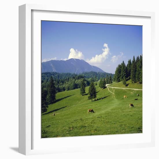 Apline Pastures on the Edge of the Bucegi Mountains, Carpathian Mountains, Transylvania, Romania-Christopher Rennie-Framed Photographic Print