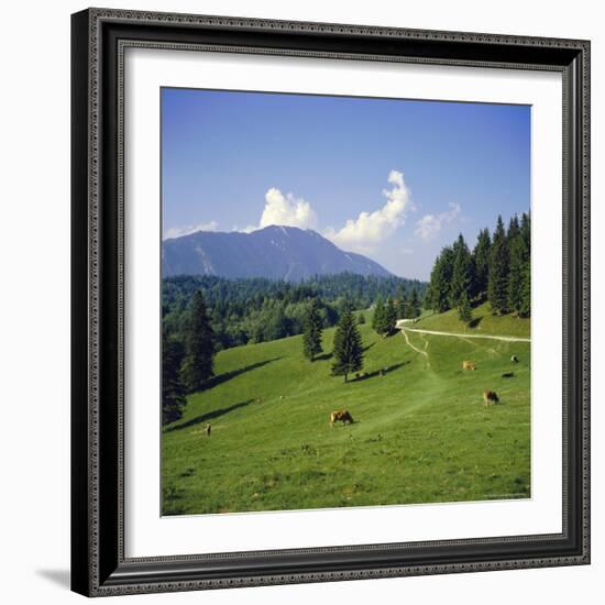 Apline Pastures on the Edge of the Bucegi Mountains, Carpathian Mountains, Transylvania, Romania-Christopher Rennie-Framed Photographic Print