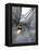 Apn Lisbon Streetcar-Armando Franca-Framed Premier Image Canvas