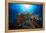 Apnea-Barathieu Gabriel-Framed Premier Image Canvas